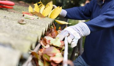 7 Reasons Gutter Cleaning Is Important