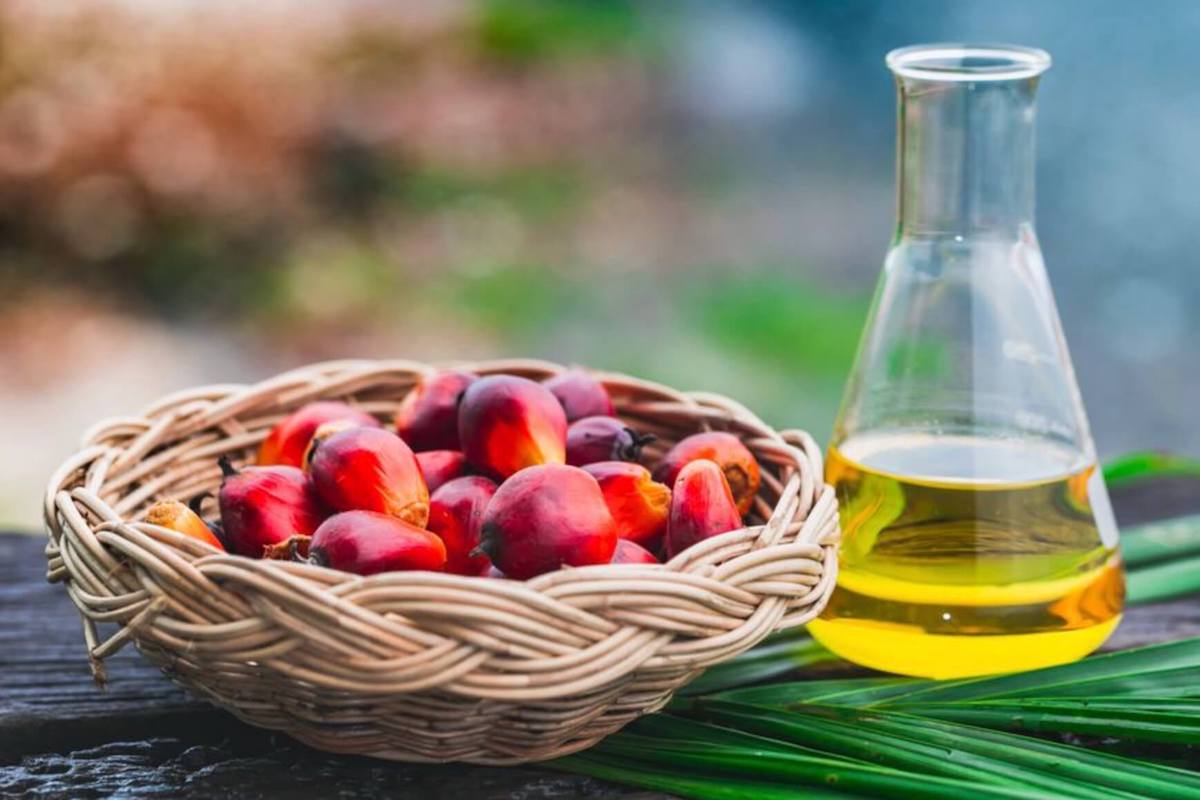 Avoiding Palm Oil? Look Out for These 10 Products