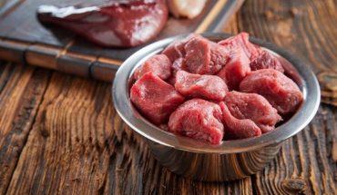 Types of Raw Dog Food – Pros and Cons